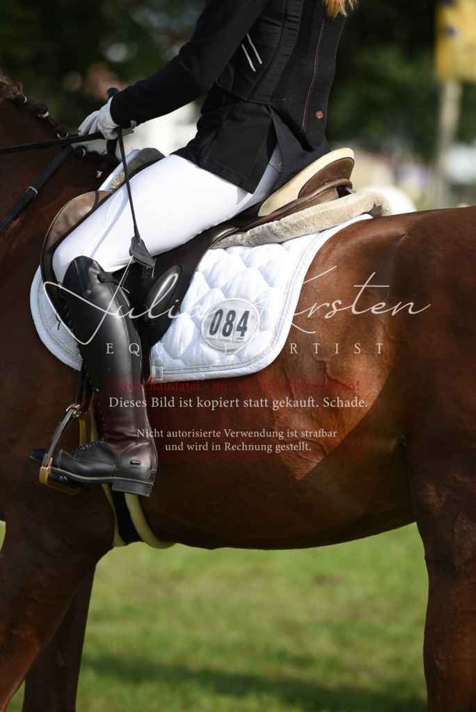 DSC_8779 | Pferde- und Turnierfotografie in Westsachsen. Pferdeportraits, Auftragszeichnungen und intuitive Kunst.
