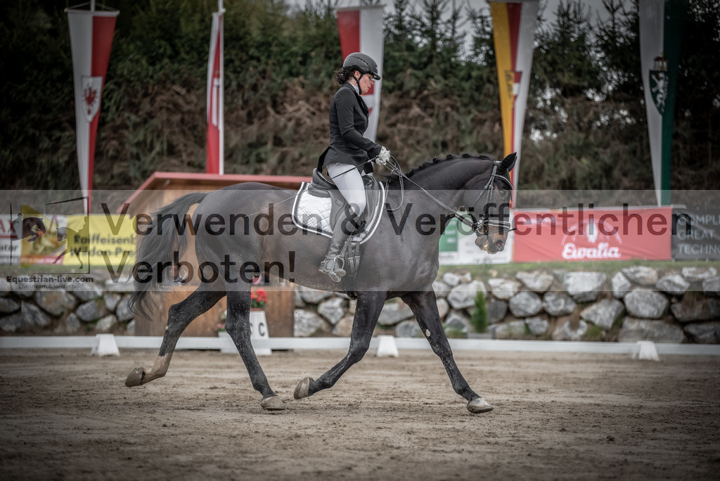 DSC_9265 | equestrian-live-com