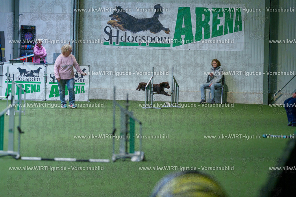 @allesWIRTHgut_Tierfotografie - www.allesWIRTHgut.de - 2604260804-7R506589 | Professionelle Tierfotografie in Mönchengladbach von Daniel Wirth (allesWIRTHgut). Liebevolle & natürliche Bilder von Hunden & Katzen für unvergessliche Erinnerungen.