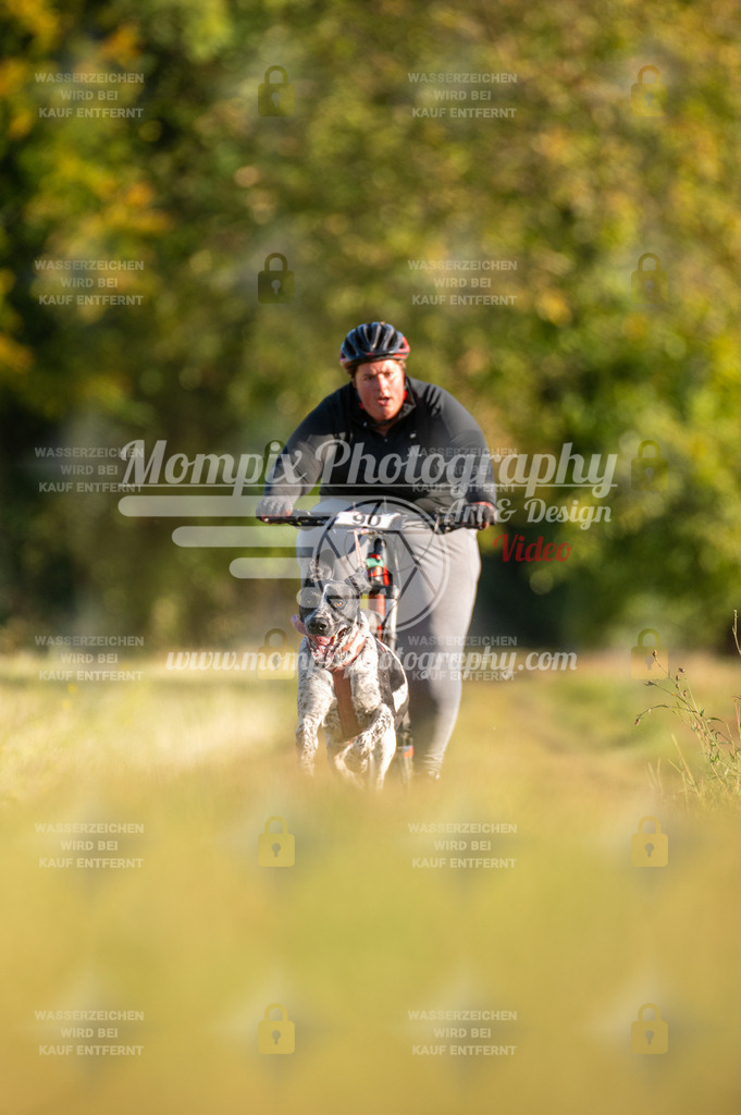CDLBDB_15_10_2023_Dimanche-223 | PayLife