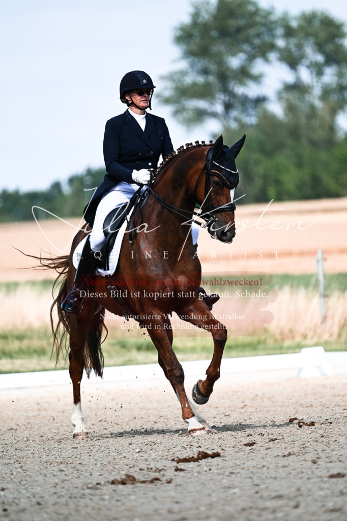 DSC_3207 | Pferde- und Turnierfotografie in Westsachsen. Pferdeportraits, Auftragszeichnungen und intuitive Kunst.