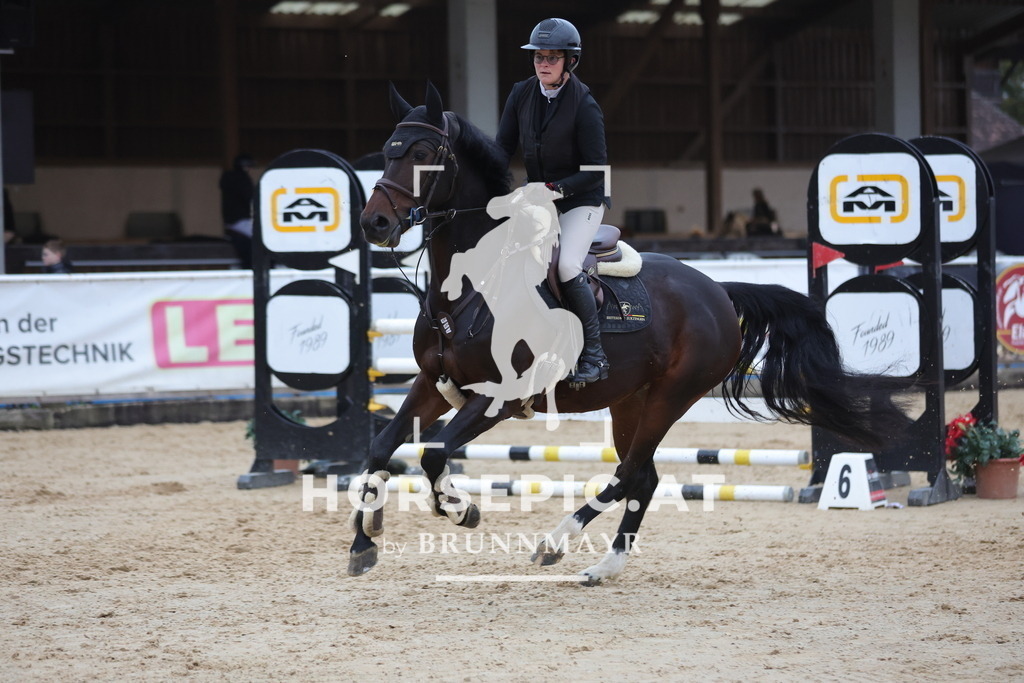 0P6A5647 | Willkommen bei Brunnmayr - Design & Fotografie – Ihrem Spezialisten für Reitturniere und Pferdeveranstaltungen in Oberösterreich, Salzburg und Bayern! Seit über 17 Jahren sind wir leidenschaftlich dabei.