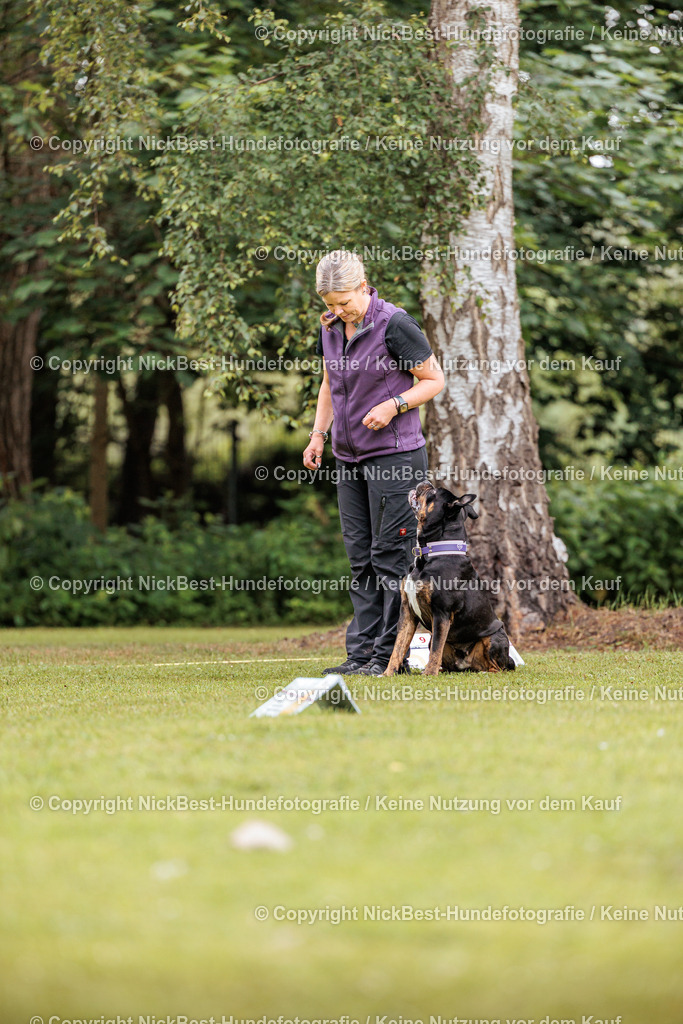 RO-Blumenthal-2026-Nickbest-Hundefotografie-1684 | Dein Hund! Dein Moment! Deine Erinnerungen! Hundefotografie in Bremen Blumenthal. Ich fange die besonderen Momente deines Vierbeiners ein – ob Indoor mit Blitzanlage oder in der freien Natur. Sicher dir dein Moment und dein Termin für eure Erinnerungen.