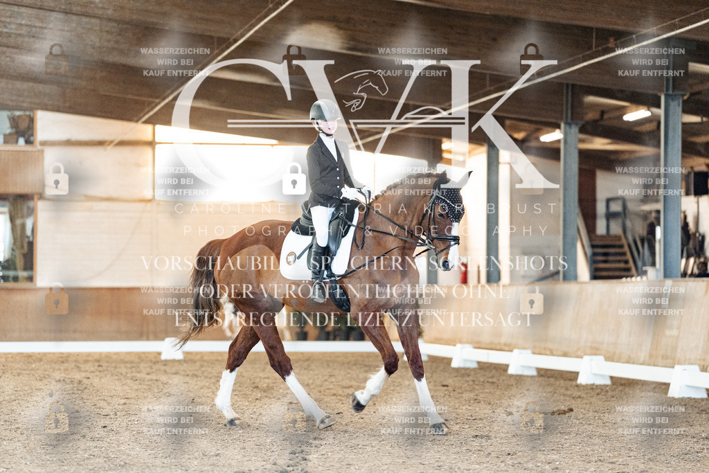 CK906721 | Turnierfotografie Pferdefotografie Trier Rheinland-Pfalz Pferdesport Reitsport Tierfotografie Sportfotografie Pferdevideo Pferdevideografie Equestrianvideography equestrianphotography  - Realized with Pictrs.com