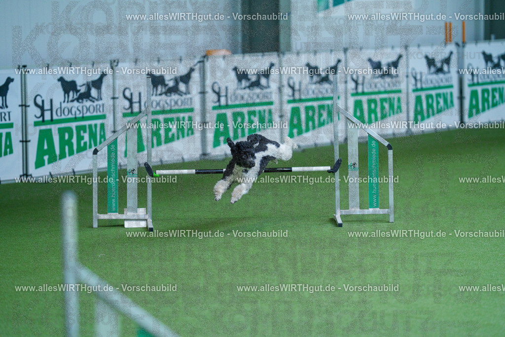 @allesWIRTHgut_Tierfotografie - www.allesWIRTHgut.de - 2604261340-7R502396 | Professionelle Tierfotografie in Mönchengladbach von Daniel Wirth (allesWIRTHgut). Liebevolle & natürliche Bilder von Hunden & Katzen für unvergessliche Erinnerungen.