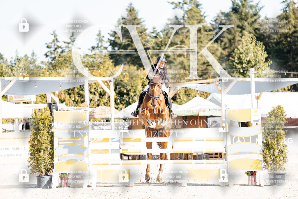 CK901679 | Turnierfotografie Pferdefotografie Trier Rheinland-Pfalz Pferdesport Reitsport Tierfotografie Sportfotografie Pferdevideo Pferdevideografie Equestrianvideography equestrianphotography  - Realisiert mit Pictrs.com