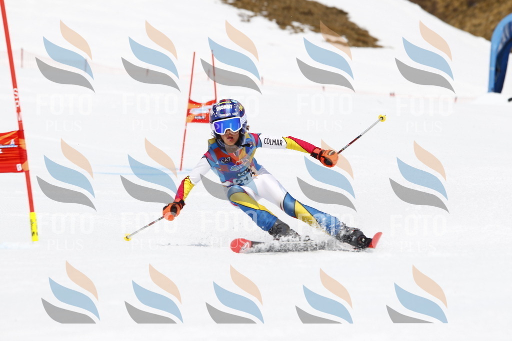 _U3G6654 | holidayphoto