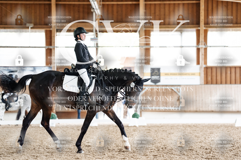 CK901317 | Turnierfotografie Pferdefotografie Trier Rheinland-Pfalz Pferdesport Reitsport Tierfotografie Sportfotografie Pferdevideo Pferdevideografie Equestrianvideography equestrianphotography  - Realisiert mit Pictrs.com