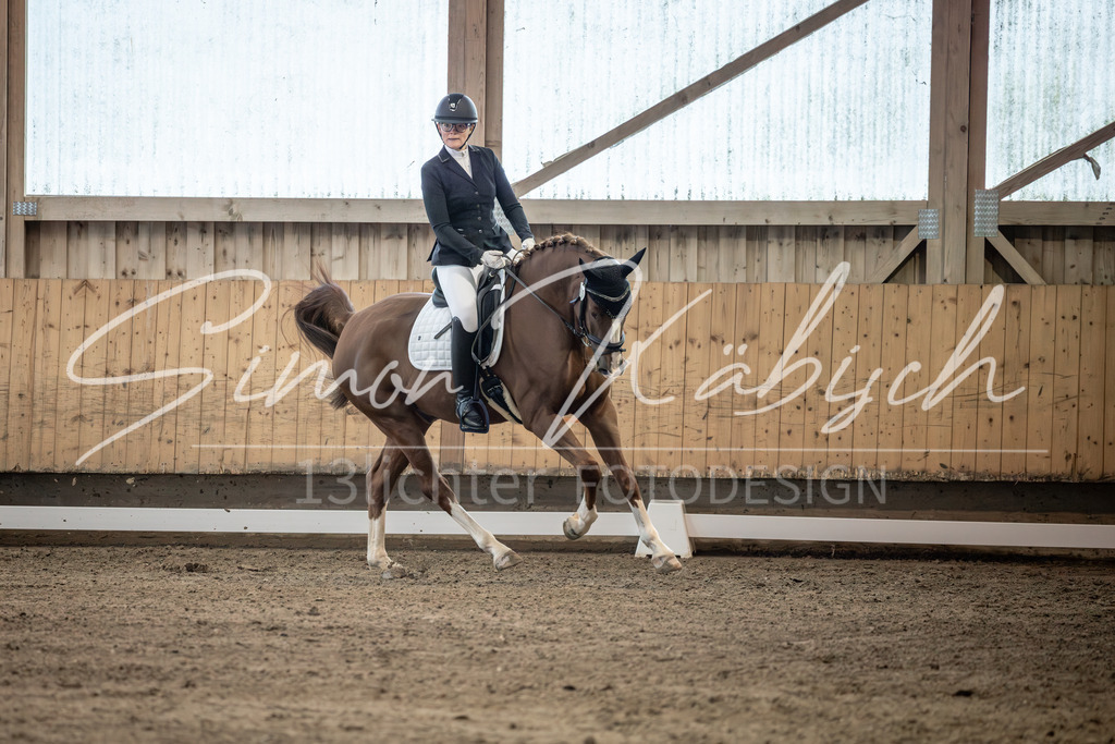 20251011-_3LI6108 | Tierfotografie Pferde, Hunde, Katzen, Haustiere.
Turnierfotografie Reitturniere, Reiten, Springreiten, Dressur in Hanau, dem Main-Kinzig-Kreis und dem Rhein-Main- Gebiet um Frankfurt