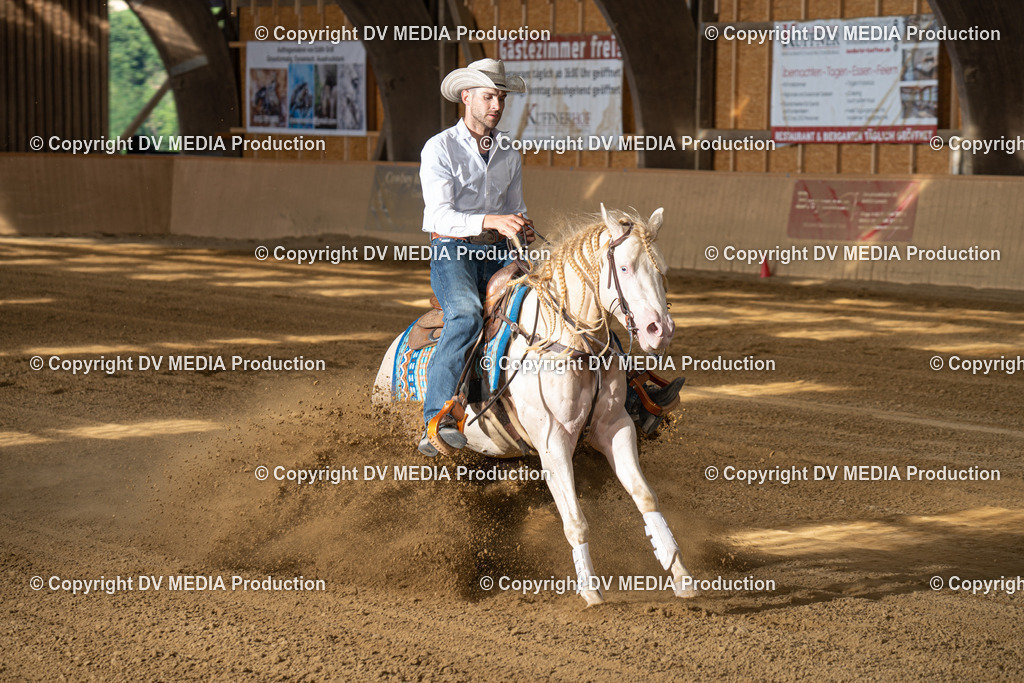 DSC00482 | dv-media-shop - Realisiert mit Pictrs.com