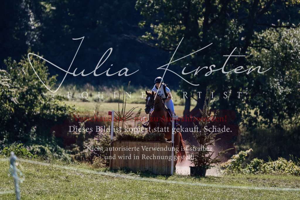 DSC_1661 | Pferde- und Turnierfotografie in Westsachsen. Pferdeportraits, Auftragszeichnungen und intuitive Kunst.