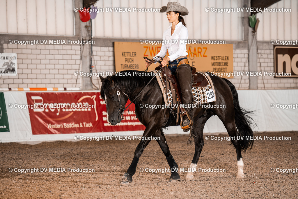 ZH300231 | dv-media-shop - Realisiert mit Pictrs.com