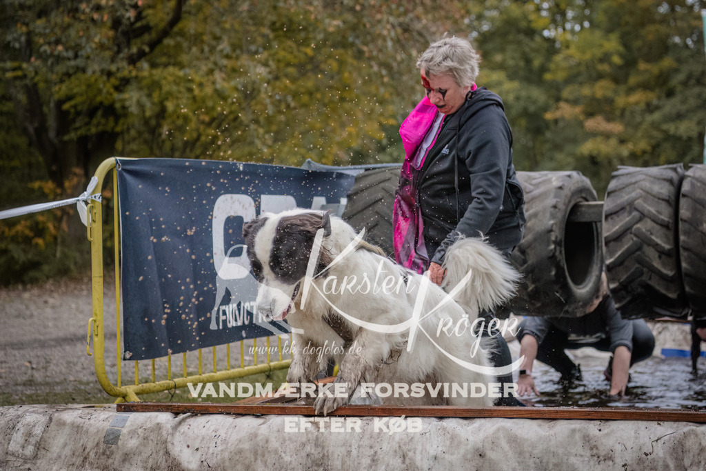 1657_ZZ94532 | kk-dogfotos