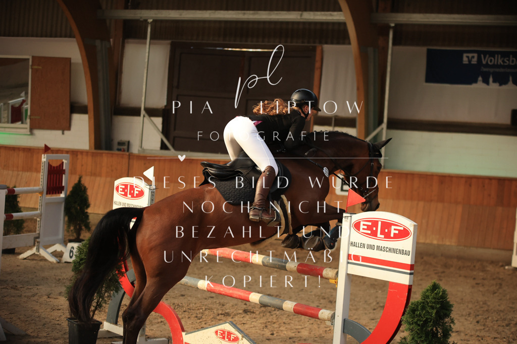 IMGT1065 | pl-fotografie