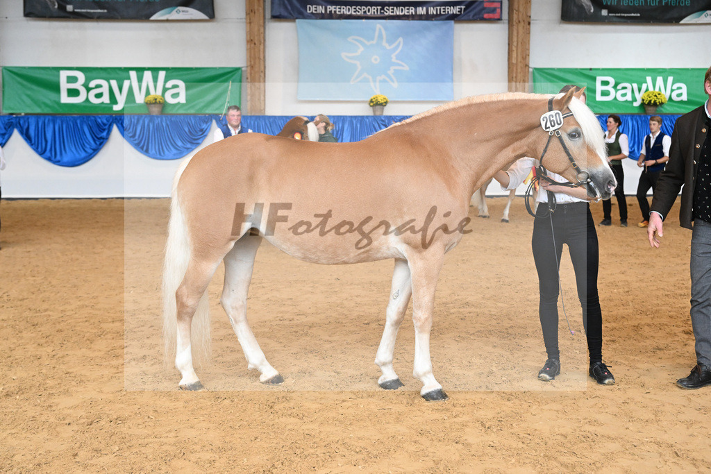 Kat-Nr. 260 Okara_Kargel_54224046 | hf-fotografie - Realisiert mit Pictrs.com