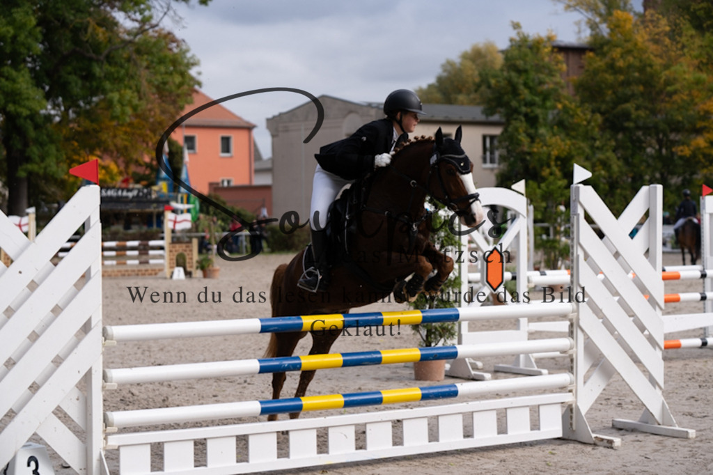 A7V00559 | Pferdefotograf