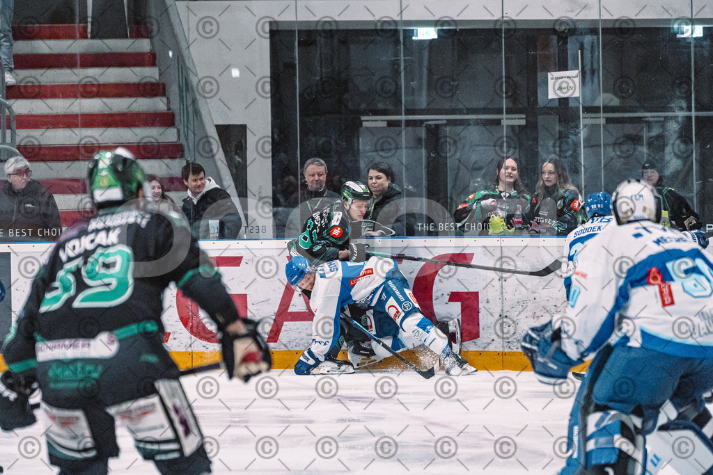 Alligators_vs_Riessersee_03_02_2026-35 | Höchstadt Alligators Fotogalerie: Eishockey-Action aus Franken. Professionelle Spielfotos, Portraits & Stadionbilder zum Download. Jetzt entdecken! - Realisiert mit Pictrs.com