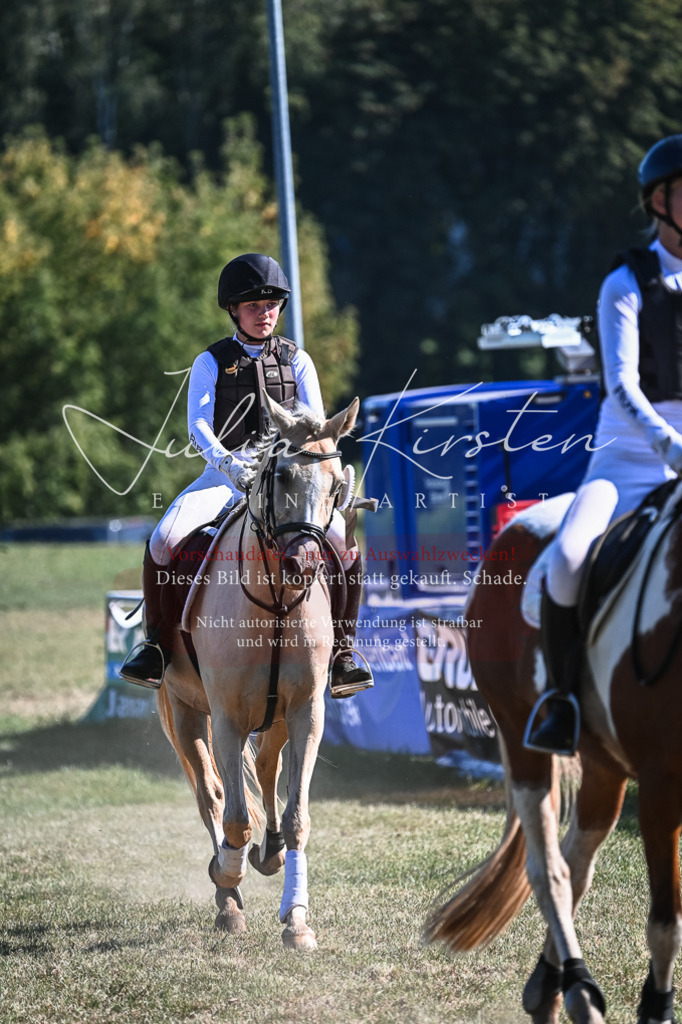 DSC_7053 | Pferde- und Turnierfotografie in Westsachsen. Pferdeportraits, Auftragszeichnungen und intuitive Kunst.