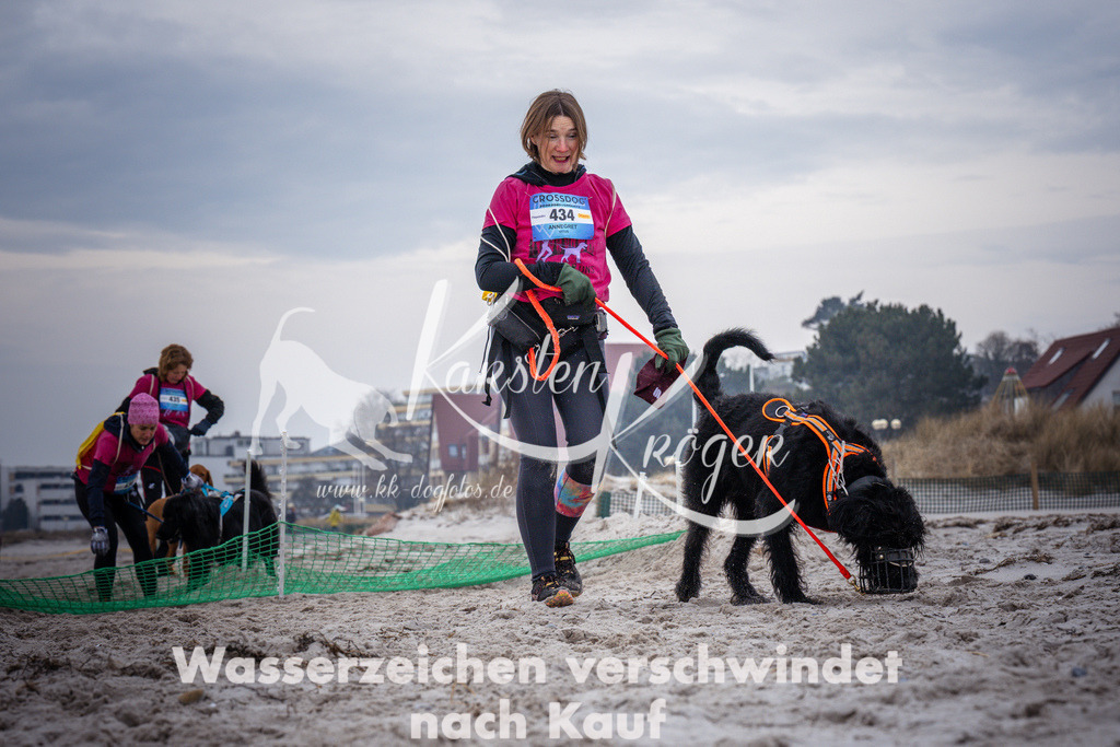 1218_ZZ93365 | kk-dogfotos