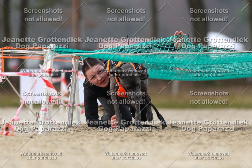 Dog Paparazzi - Strongdog North Mrz26-4414 | Dog Paparazzi Jeanette Grottendiek Fotografie & Videografie - Realisiert mit Pictrs.com