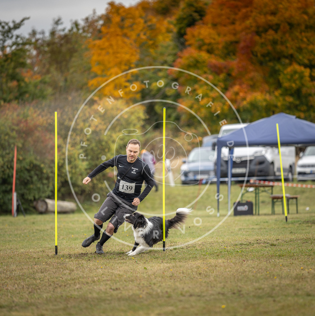 Pfotenfotografie_DV3A8274 | Hundefotografie, Tierfotograf, Pfotenfotografie, Fotoshooting Hund, Hunde Portrait, Hundesport, Hundeportraits, Heideshooting, Hunde, Sportfotograf, Hundefotograf, Turnierhundsport, THS,  - Realisiert mit Pictrs.com