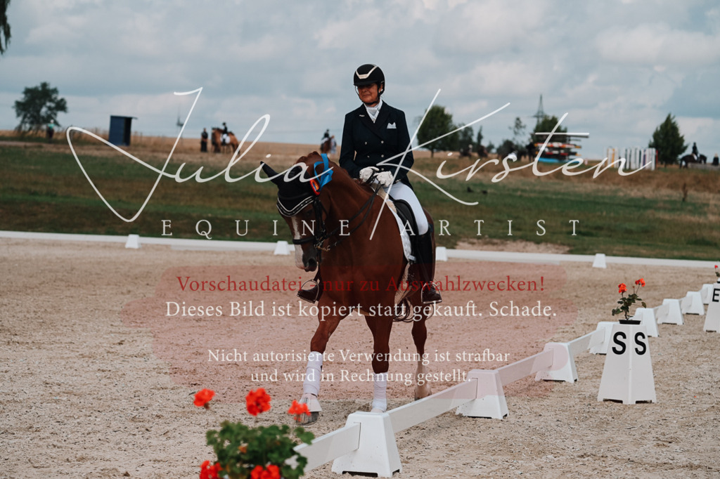 DSC_4142 | Pferde- und Turnierfotografie in Westsachsen. Pferdeportraits, Auftragszeichnungen und intuitive Kunst.