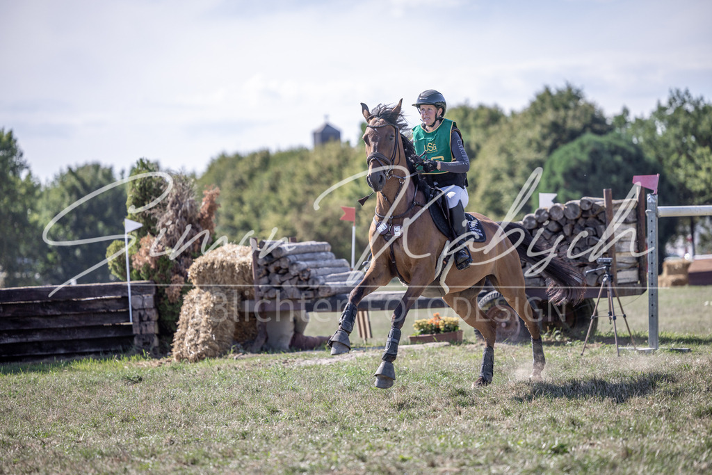 20260906-_3LI5779 | Tierfotografie Pferde, Hunde, Katzen, Haustiere.
Turnierfotografie Reitturniere, Reiten, Springreiten, Dressur in Hanau, dem Main-Kinzig-Kreis und dem Rhein-Main- Gebiet um Frankfurt