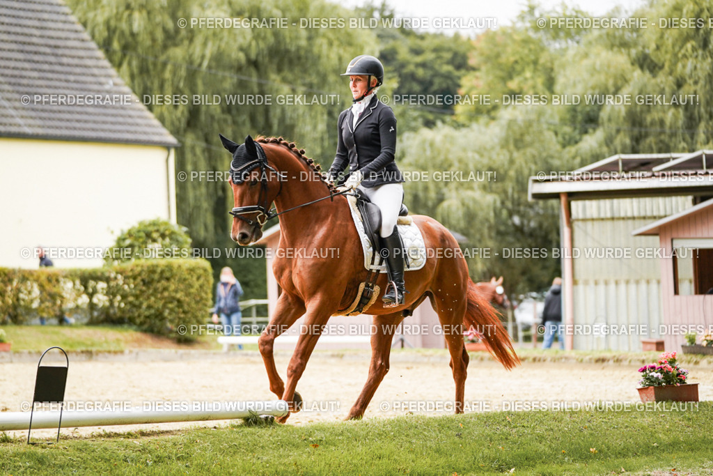 DSC08342 | Pferdegrafie