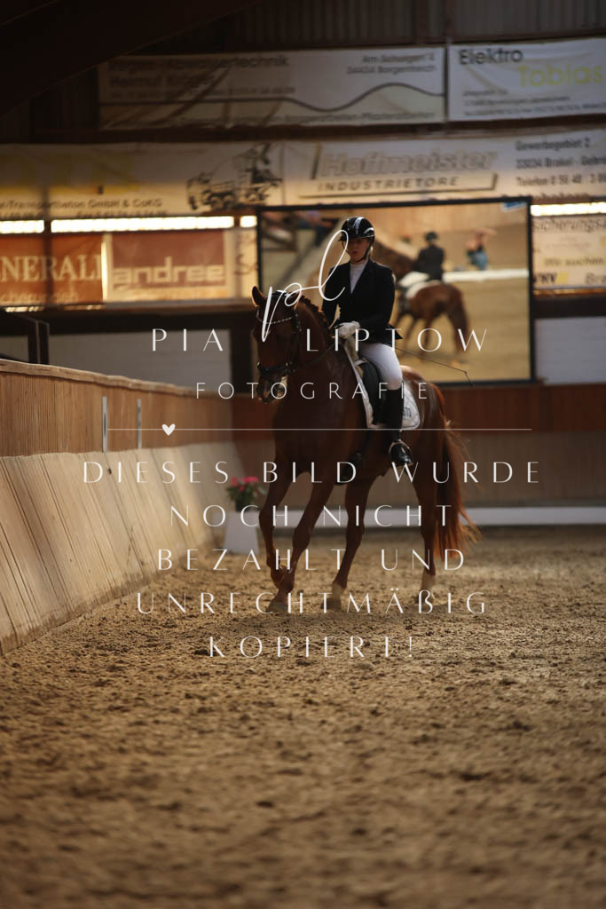 IMGS3853 | pl-fotografie