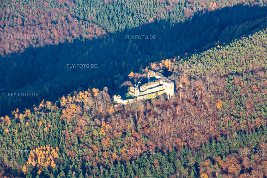 Burgruine Neuscharfeneck von Süden | Luftbild: Burgruine Neuscharfeneck von Süden in Flemlingen im Bundesland Rheinland-Pfalz in Deutschland. Foto: IMG_135356.jpg vom 12.12.2022 durch ©2025 Werner Riehm fly-foto.de/copyright - Realisiert mit Pictrs.com