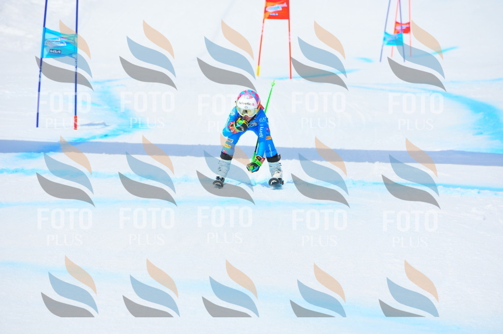 DSC_3231 | holidayphoto