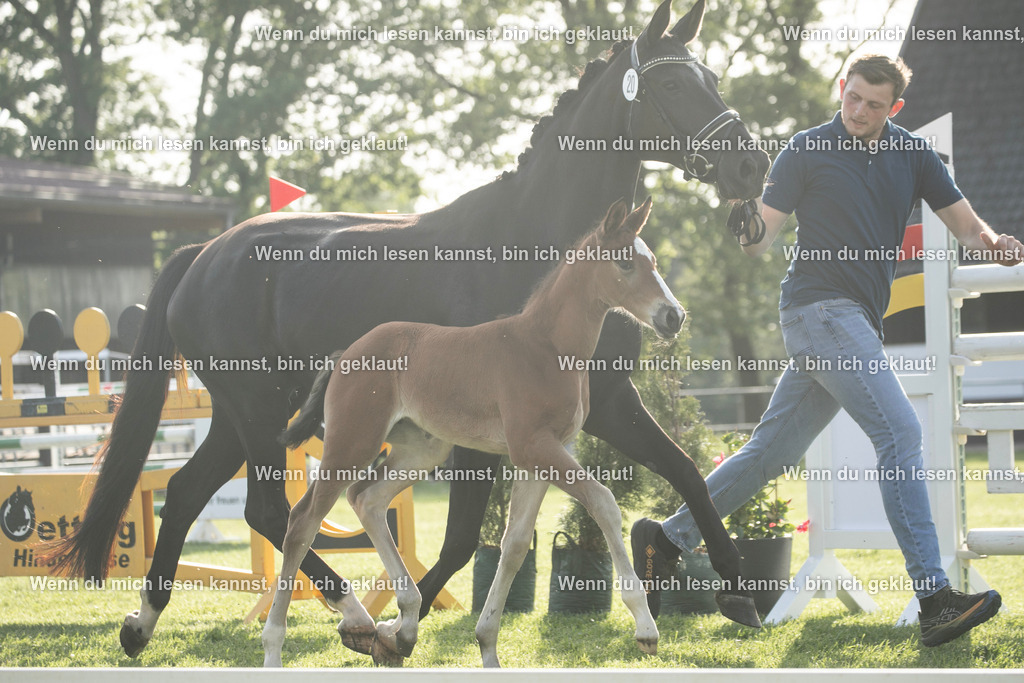 598A7391 | photographylinaismer - Realisiert mit Pictrs.com