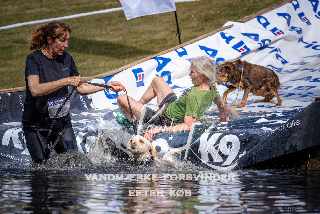 _ZZ906070903 | kk-dogfotos