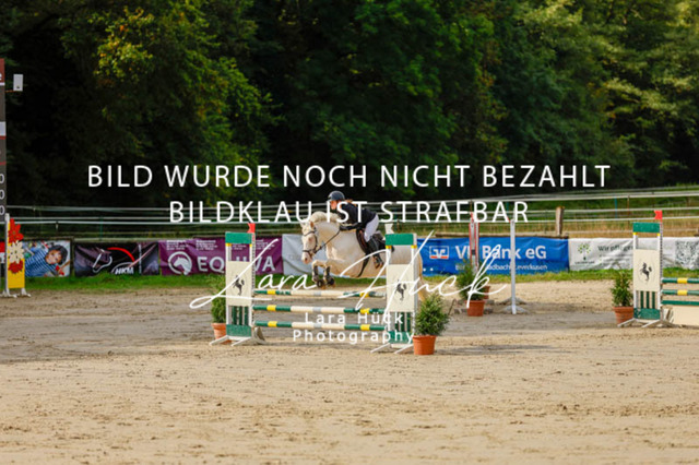 _62_9097 | larahueckfotografie