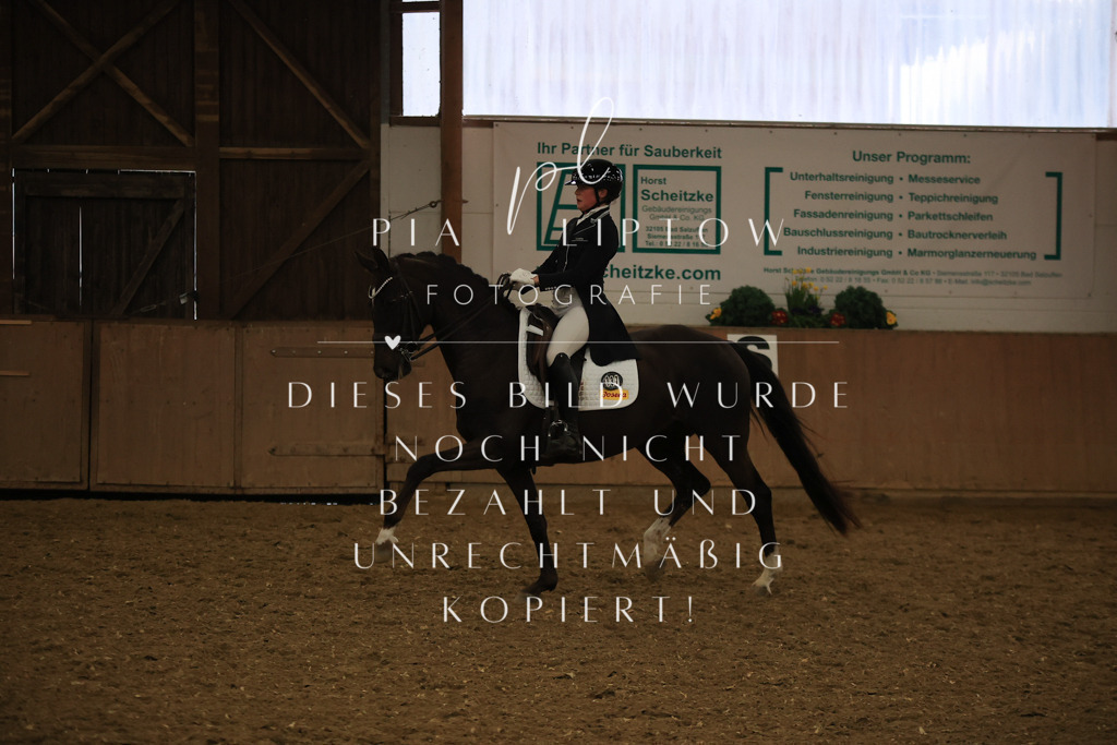 IMGT6237 | pl-fotografie