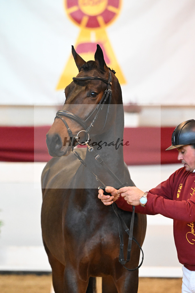 Kat-Nr. 23 Diacontinus x Luke Mc Donald_Stieglmaier_47241107 | hf-fotografie - Realizzato con Pictrs.com