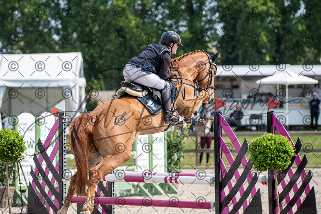 KPT_2664 | andre_photographic