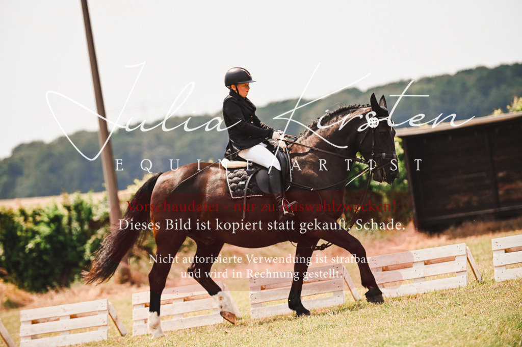 DSC_6382 | Pferde- und Turnierfotografie in Westsachsen. Pferdeportraits, Auftragszeichnungen und intuitive Kunst.