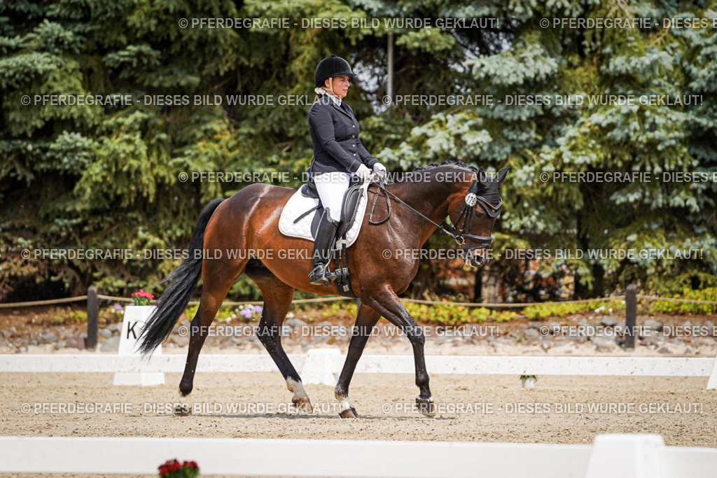 DSC02169 | Pferdegrafie