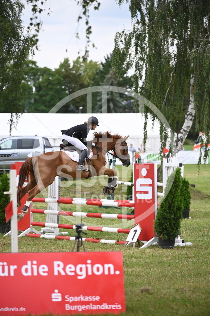 DSC_2561 | sattelsport - Realisiert mit Pictrs.com