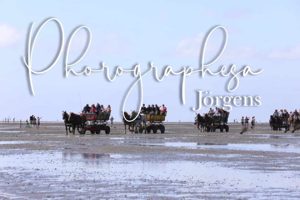 IMG_9536 | photographesa-joergens - Realisiert mit Pictrs.com