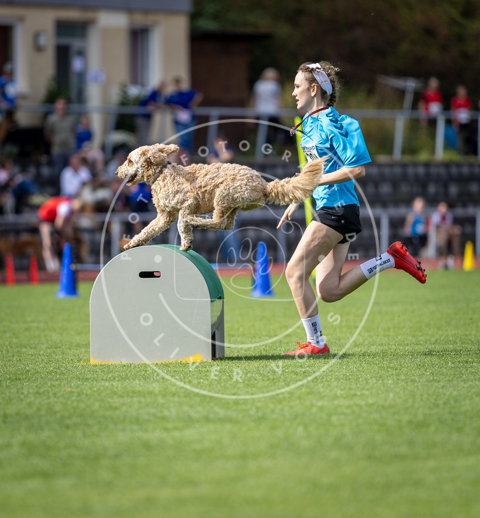 Pfotenfotografie_DV3A1057 | Hundefotografie, Tierfotograf, Pfotenfotografie, Fotoshooting Hund, Hunde Portrait, Hundesport, Hundeportraits, Heideshooting, Hunde, Sportfotograf, Hundefotograf, Turnierhundsport, THS,  - Realisiert mit Pictrs.com
