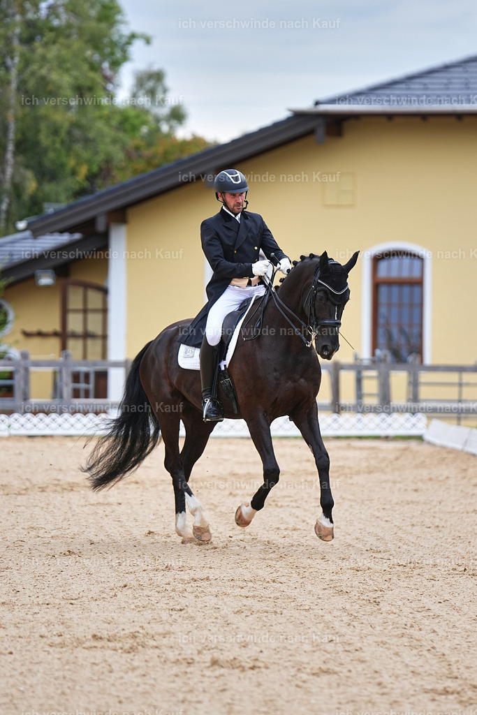 8_1-045-Klasse S_  -Marixx-4047 | working equitationturnier fotograf videograf stoibphotography marixx film working equitation deutschland reitsport turnierfotografie eventfotografie equestrian events