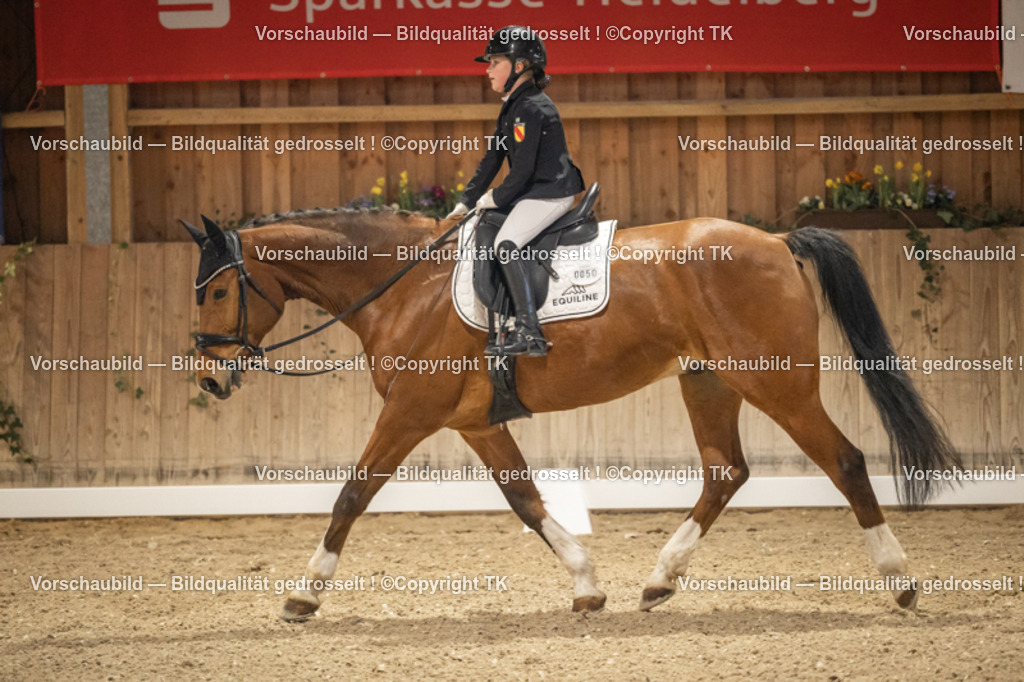 _D5A9987 | Emotionale Pferde- & People-Fotografie rund um Heidelberg, Leimen & Umgebung. Natürliche Fotos von Pferd, Mensch & Familie. Jetzt Termin sichern!