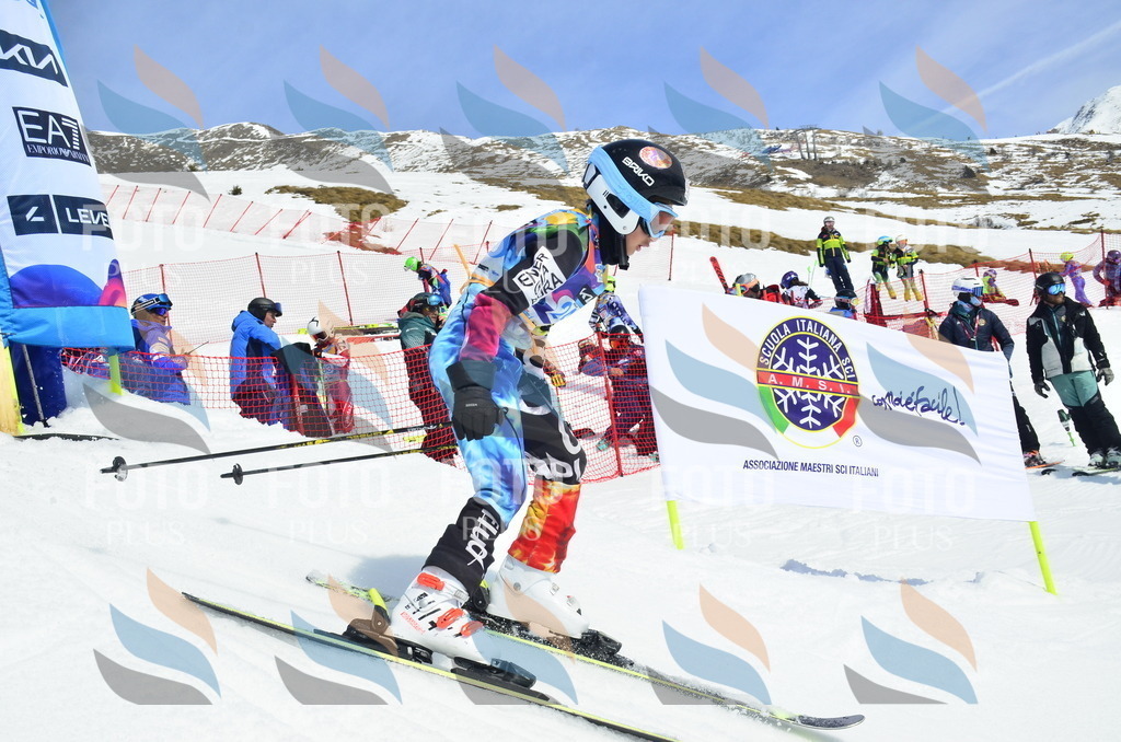 _ELE1797 | holidayphoto