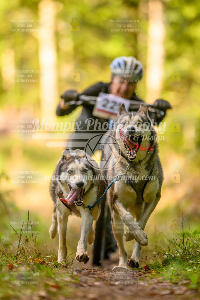 MompixPhotography_Yens2025_B3-224 | PayLife