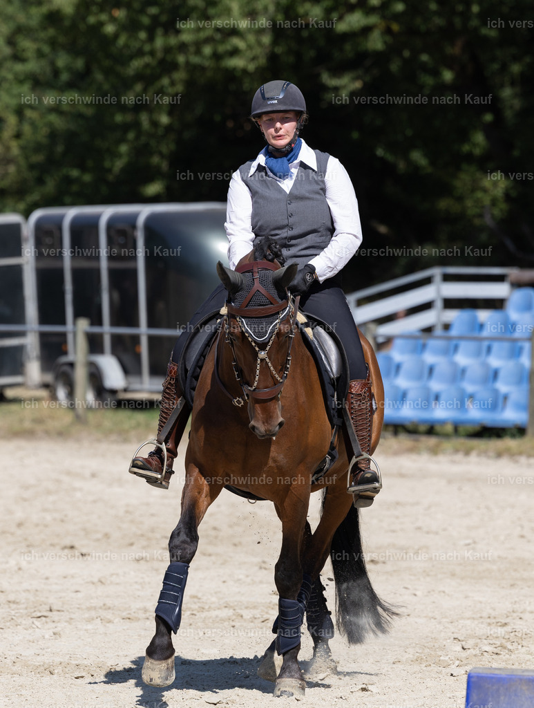 WE_Trail_80_KerstinBernhardt-15 | working equitationturnier fotograf videograf stoibphotography marixx film working equitation deutschland reitsport turnierfotografie eventfotografie equestrian events