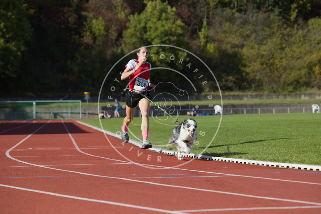 0L8A9681 | Hundefotografie, Tierfotograf, Pfotenfotografie, Fotoshooting Hund, Hunde Portrait, Hundesport, Hundeportraits, Heideshooting, Hunde, Sportfotograf, Hundefotograf, Turnierhundsport, THS,  - Realisiert mit Pictrs.com