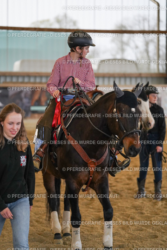 DSC09195 | Pferdegrafie