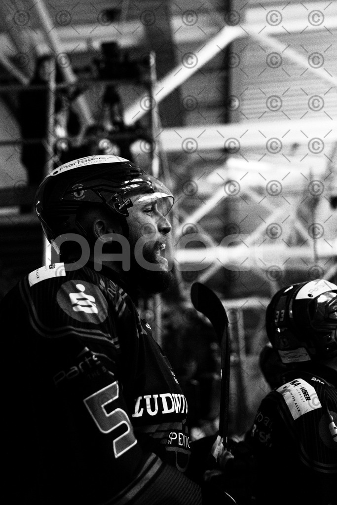 Alligators_vs_Bayreuth_10_2025-37 | Höchstadt Alligators Fotogalerie: Eishockey-Action aus Franken. Professionelle Spielfotos, Portraits & Stadionbilder zum Download. Jetzt entdecken! - Realisiert mit Pictrs.com
